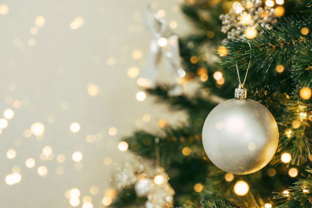 Kerstboom 2025